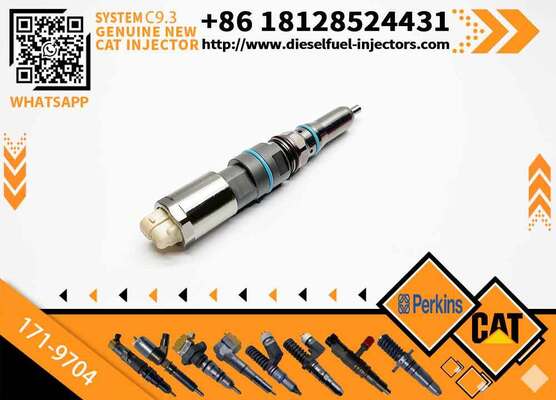 New Fuel Injector 171-9704 1719704 20R-5075 3861809 386-1809 382-0709 4563493 456-3493 for C-aterpillar C-aterpillar C9.3 D6T D7E