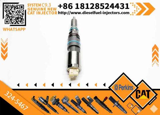 367-4293 304-3637 324-5467 342-5487 363-0493 364-8024 382-0709 392-9046 Excavator Fuel Injector for C-A-T C9.3