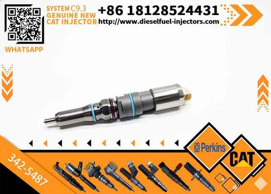 New Common Rail Fuel Injector 304-3637 324-5467 342-5487 382-0709 392-9046 417-3013 for C9.3