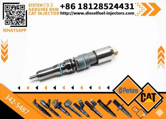 New Common Rail Fuel Injector 304-3637 324-5467 342-5487 382-0709 392-9046 417-3013 for C9.3
