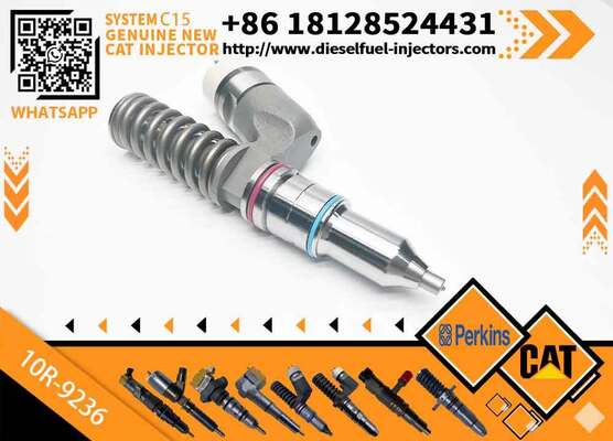 249-0709 10R1273 10R-9236 Common Rail Fuel Injector Diesel Engine Parts CAT C15 Engine for C-aterpillar Excavator Fuel Injector