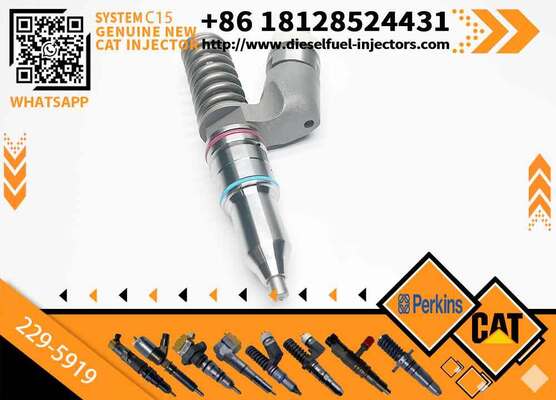 3406E C15 Engine Diesel Fuel Injector CA2295919 229-5919 10R-1000 10R1000 for C-aterpillar Truck