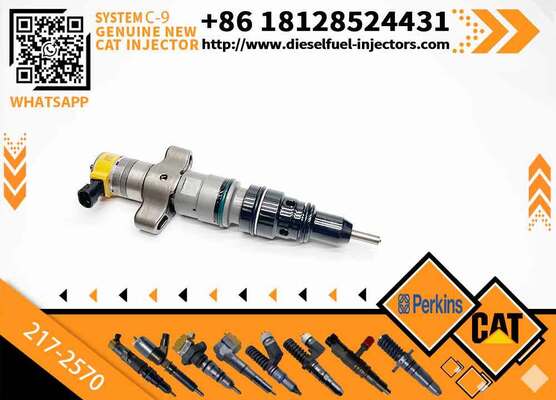 C-9 Engine Fuel Injector 10R7224 217-2570 235-9649 235-2887 for 330C Excavator 12H D6R