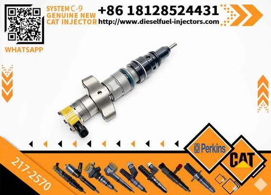 C-9 Engine Fuel Injector 10R7224 217-2570 235-9649 235-2887 for 330C Excavator 12H D6R
