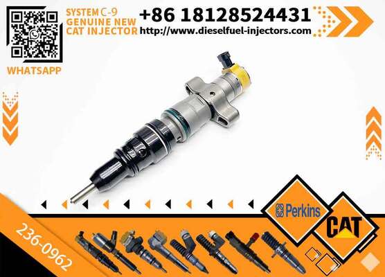 New C-9 Engine Diesel Fuel Injector 236-0962 217-2570 10R-7225 10R-7224 for Excavator Parts Condition