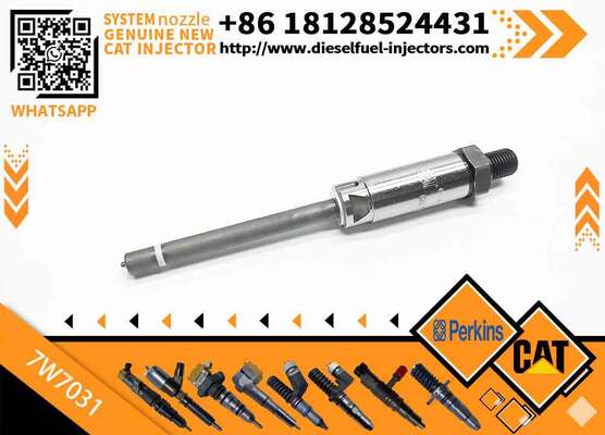 HOT Fuel Injector 4W7016 4W7017 4W7018 4W7019 7W7032 104-9453 7W7031 7W7033 for Engine 3306 3406 3406B 3406C 3412 3408 3408B