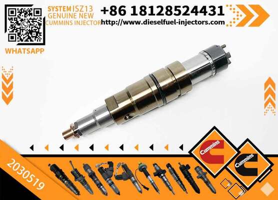 Wholesale Fuel Injector 2031835 2872289 2872544 2057401 2029622 1948565 2030519 2031836 2086663 with More Models in Good Service