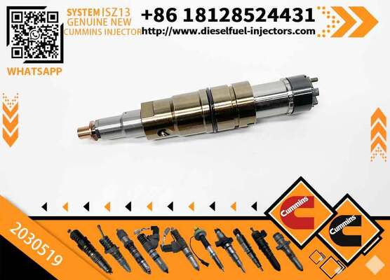 Wholesale Fuel Injector 2031835 2872289 2872544 2057401 2029622 1948565 2030519 2031836 2086663 with More Models in Good Service