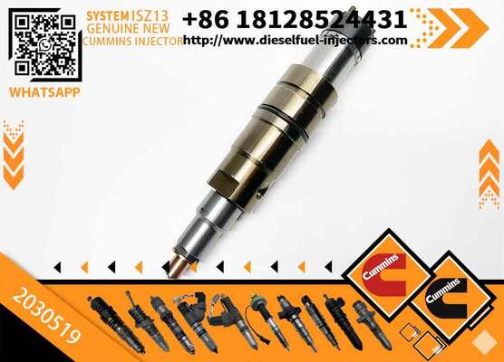 Wholesale Fuel Injector 2031835 2872289 2872544 2057401 2029622 1948565 2030519 2031836 2086663 with More Models in Good Service