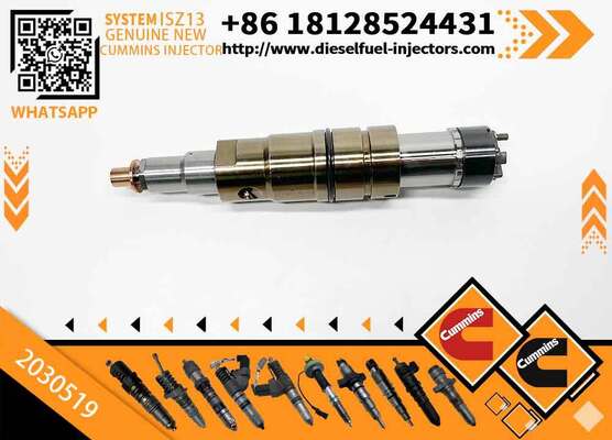 Wholesale Fuel Injector 2031835 2872289 2872544 2057401 2029622 1948565 2030519 2031836 2086663 with More Models in Good Service