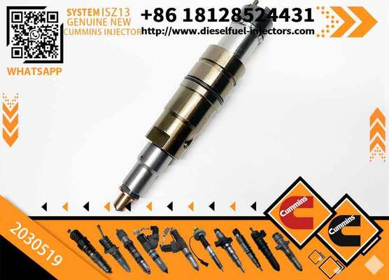 Wholesale Fuel Injector 2031835 2872289 2872544 2057401 2029622 1948565 2030519 2031836 2086663 with More Models in Good Service