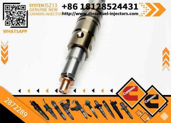 2872289 Diesel Common Rail Injector2872289 2086663 2058444 2031386 2036181 4397488 2264458 4307217For C-ummins ISZ13 Engine