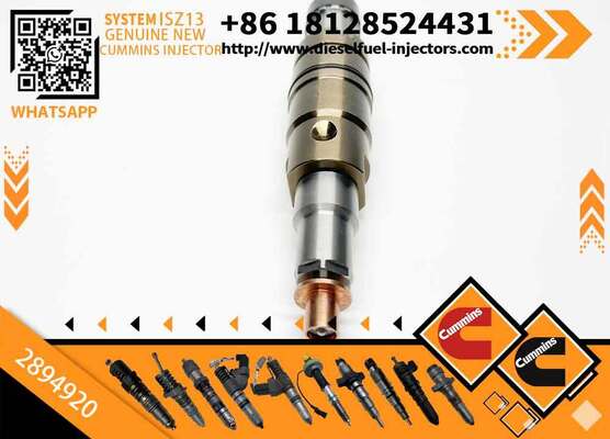 Diesel Engine Parts Common Rail Fuel Injector 2872544 2872405 2894920 4307217 5491721 4326959 for C-ummins Scania XPI Injector