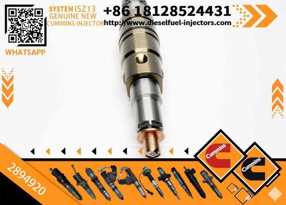 Diesel Engine Parts Common Rail Fuel Injector 2872544 2872405 2894920 4307217 5491721 4326959 for C-ummins Scania XPI Injector