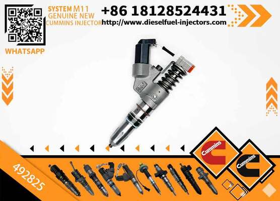 Diesel Engine Parts 3411754 3411755 492825 4928517 Diesel Fuel Injector for C-UMMINS Diesel Engine