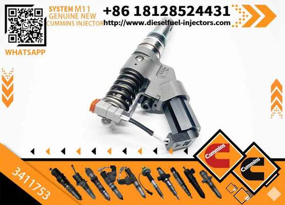 4026222 4903319 4061851 4903472 3411753 3411845 3411754 3411756 4902921 Fuel Rail Injector Assy QSMI1 M11 Diesel Engine R275