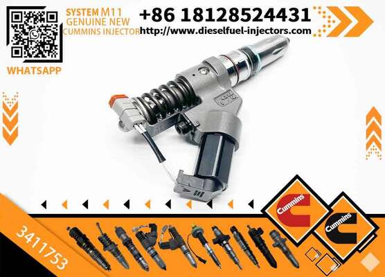 4026222 4903319 4061851 4903472 3411753 3411845 3411754 3411756 4902921 Fuel Rail Injector Assy QSMI1 M11 Diesel Engine R275