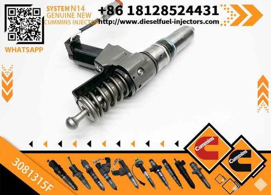 Generator Parts Fuel Injector 3407776 3409975 4902924 3081315F 3083846T 3083848F 3087560 3087733 3087807