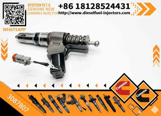 Generator Parts Fuel Injector 3407776 3409975 4902924 3081315F 3083846T 3083848F 3087560 3087733 3087807