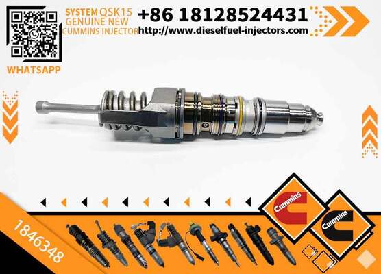 Common Rail Injector 1846347 or Fuel Injector 1846351 1846350 1846349 1846348 1846347