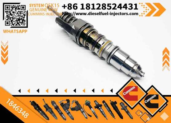 Common Rail Injector 1846347 or Fuel Injector 1846351 1846350 1846349 1846348 1846347
