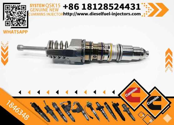Common Rail Injector 1846347 or Fuel Injector 1846351 1846350 1846349 1846348 1846347
