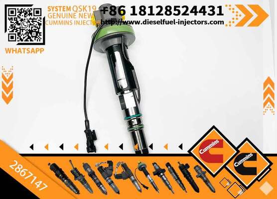 2867147 Fuel Injector 2887077 800169268 Construction Machinery Excavator Parts for QSK60 QSK38 QSK19 Engine