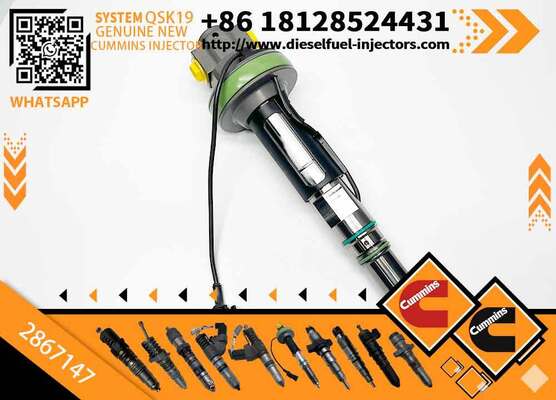 2867147 Fuel Injector 2887077 800169268 Construction Machinery Excavator Parts for QSK60 QSK38 QSK19 Engine