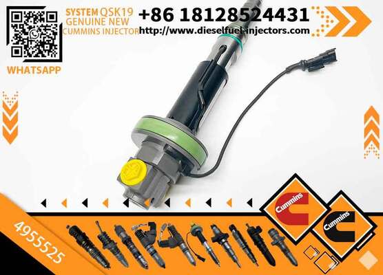 High Pressure Fuel Pump4089972 4928106 4955524 4955525 0 986 435 611 0 986 435 612 F 00B L0J 017 F 00B L0J 018