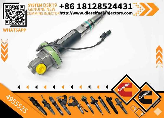 High Pressure Fuel Pump4089972 4928106 4955524 4955525 0 986 435 611 0 986 435 612 F 00B L0J 017 F 00B L0J 018