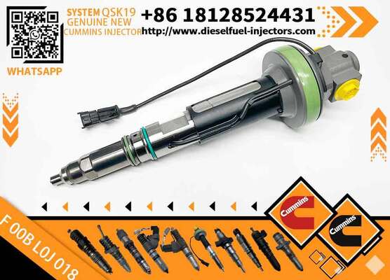 COMMON RAIL FUEL INJECTOR 4964171 4955525 F00BL0J018 F 00B L0J 018 Y431K05417 Y 431 K05 417