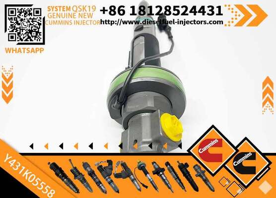 QSK19 QSK60 Common Rail Fuel Injector 2867148 2882078 Y431K05248 Y431K05558 4964170 2867147 2881088 for C-ummins Diesel Engine