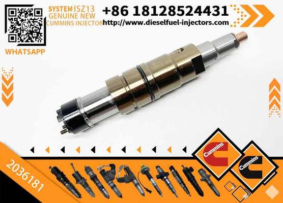 Common Rail Injector XPI 2057401, 2036181, 2031835, 574423, 1933612, 575176 for Engine DC13115, DC13124, DC13125, DC13147
