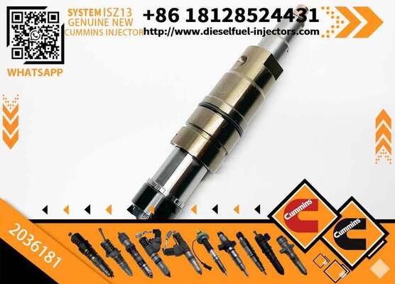 Common Rail Injector XPI 2057401, 2036181, 2031835, 574423, 1933612, 575176 for Engine DC13115, DC13124, DC13125, DC13147