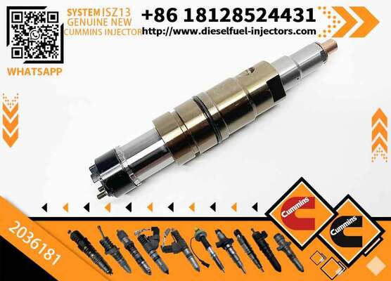 Common Rail Injector XPI 2057401, 2036181, 2031835, 574423, 1933612, 575176 for Engine DC13115, DC13124, DC13125, DC13147