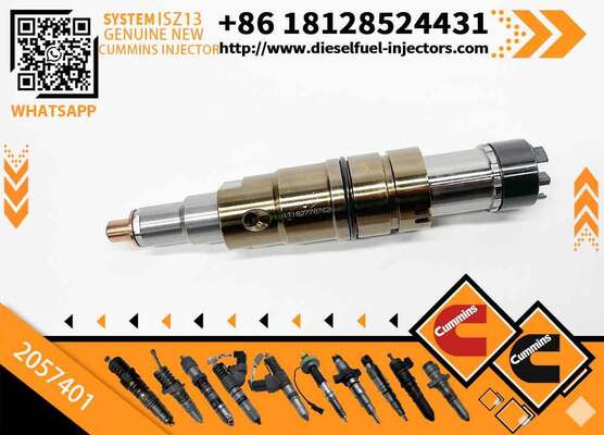 New 2029622 2030519 2057401 2031836 Common Rail Injector Diesel Fuel Injecto for ISZ13 Excavator DC09 DC16 DC13
