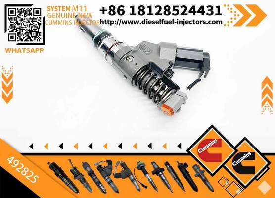 Diesel Engine Parts 3411754 3411755 492825 4928517 Diesel Fuel Injector for CUM-MINS Diesel Engine