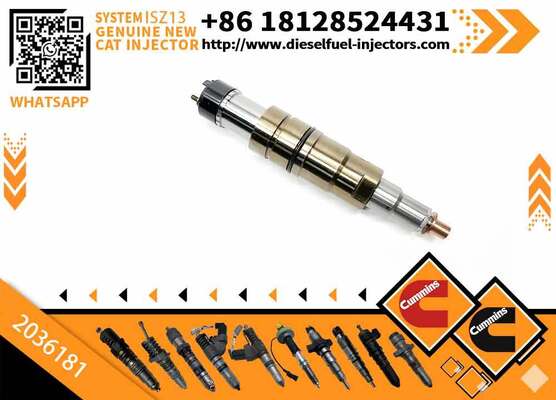 INJECTOR 2036181 4307217 2872056 4326959 2872284 4326989 2872405