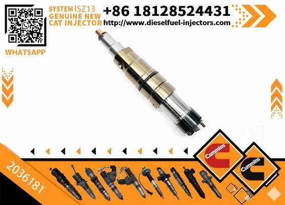 INJECTOR 2036181 4307217 2872056 4326959 2872284 4326989 2872405