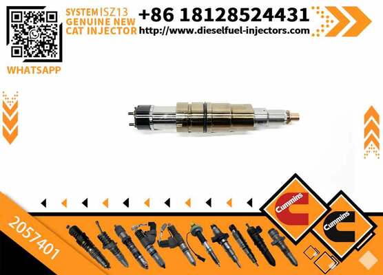 Rail Fuel Injector 2872405 2419679 1948565 2057401 for