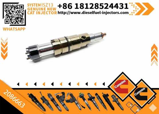 Rail Fuel Injector 2086663 1933613 1881565 2894920 for