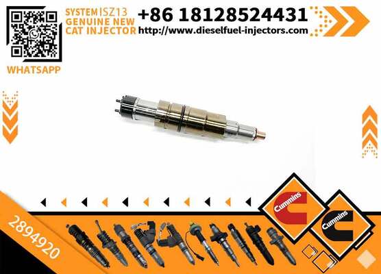 208663 Diesel Universal Rail Injector 2894920 2482244