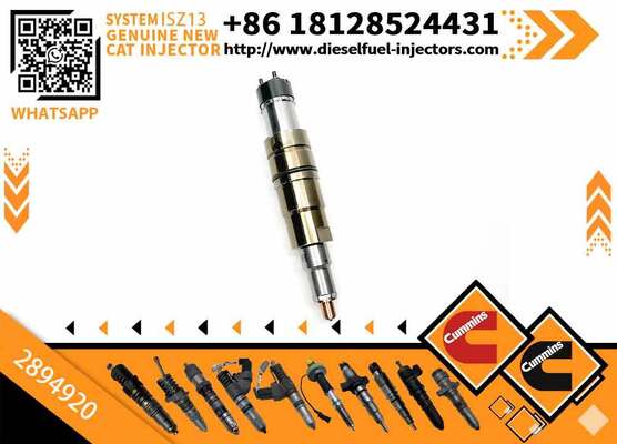 208663 Diesel Universal Rail Injector 2894920 2482244