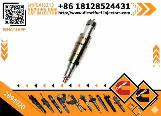 208663 Diesel Universal Rail Injector 2894920 2482244