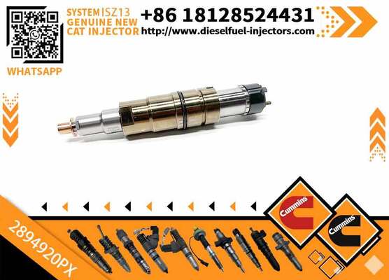 Rail 5579415PX 2894920PX Fuel Injector for