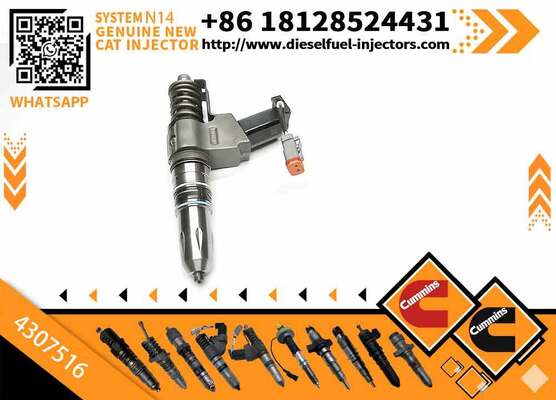 Injector Excavator Engine Injectors 4307516 4307776 4307795