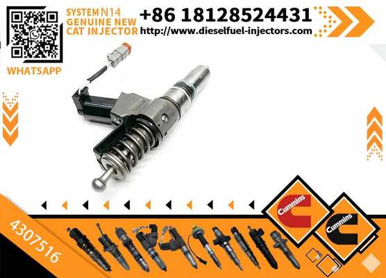 Injector Excavator Engine Injectors 4307516 4307776 4307795