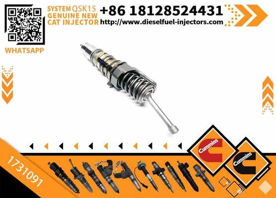 AUTOJIA High Quality Injector Excavator Engine Injectors 1731091 579253