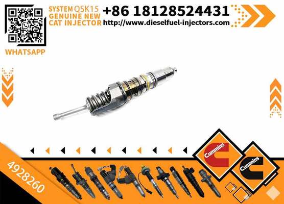 Fuel Injector 4928260 4062569 4010346 for diesel