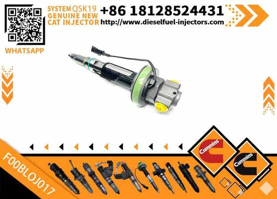 Fuel Injector F00BLOJ013 F00BLOJ017 F00BJ00009 4089972 4955526 for